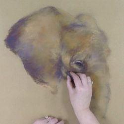 Un éléphant au pastel Séquence 03