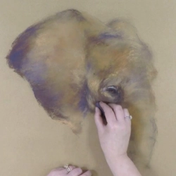 Un éléphant au pastel Séquence 03