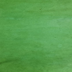 Papier Lokta Unis - Vert sapin