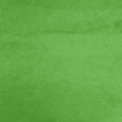 Papier Lokta Unis  - Vert Vif