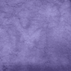 Papier Lokta Unis - Violet