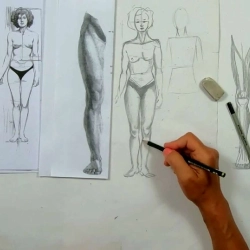 Dessin anatomique : La jambe de face