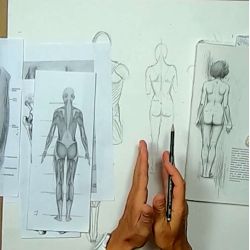 Dessin anatomique : La jambe arrière