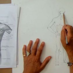 Dessin anatomique : Le corps entier