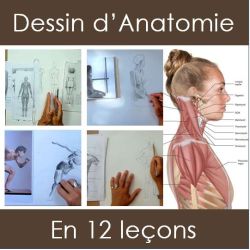 Pack "Dessin anatomique"