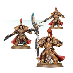 Shield-Captain in Allarus Terminator Armour