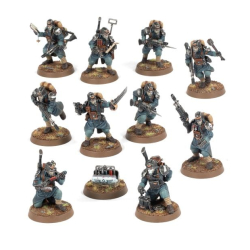 Kill Team: Gardes Vétérans
