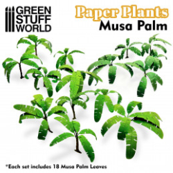 PLANTES À PAPIER - ARBRE MUSA