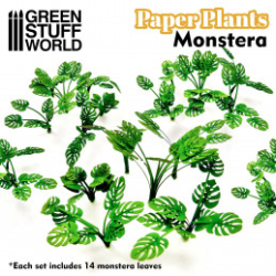 PLANTES À PAPIER - MONSTERA