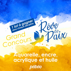 Concours de Janvier : "Rêve...