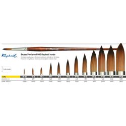 Brosse Précision Ronde 8900 - Raphaël