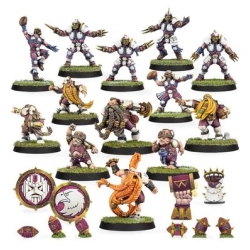 Équipe de Blood Bowl de l'Alliance du Vieux Monde – Middenheim Mauler