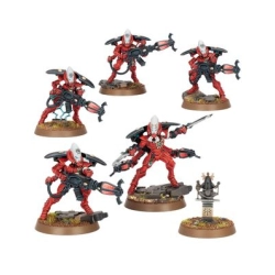 Araignées Spectrales