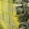 Weathering 827 Environnement: moisissure et lichen - Vallejo
