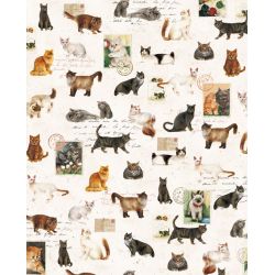 Papier italien 85g 50x70cm Les chats