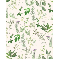 Papier italien 85g 50x70cm Herbes aromatiques