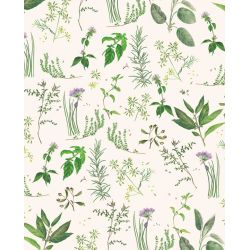 Herbes aromatques