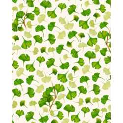 Papier italien 85g 50x70cm Ginko