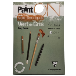 Bloc PAINT ON Multi-technique Vert de Gris 250g