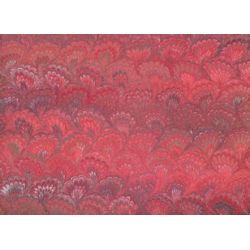 Pavone Rose orangé