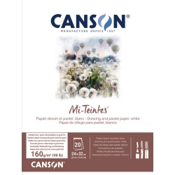 Bloc Papier Mi-teintes Blanc - Canson