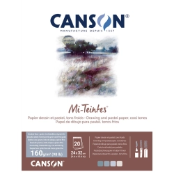 Bloc Papier Mi-teintes Gris froid - Canson