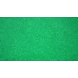 Papier de murier Hanji 20/25g pour technique joomchi - Menthe Verte