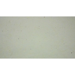 Papier de murier Hanji 20/25g pour technique joomchi - Crême
