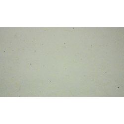Papier de murier Hanji 20/25g pour technique joomchi - Crême