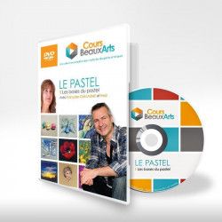 DVDs technique mixte