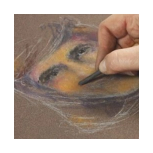 Portraits et animaux