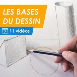 Les bases du dessin