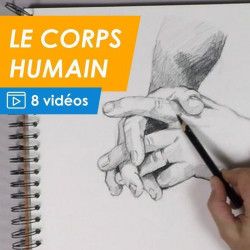 Dessiner le corps humain