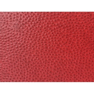 Papiers simili-cuir Reptile