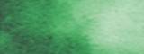 Aquarelle Daniel Smith S1 042  Vert de Hooker 