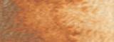 Aquarelle Daniel Smith S1 096 Terre de sienne naturelle 