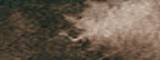 Aquarelle Daniel Smith S1 097 Terre d'ombre naturelle 