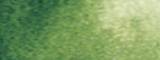 Aquarelle Daniel Smith S2 102 Vert de vessie 