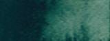Aquarelle Daniel Smith S2 175 Vert de vessie foncé 