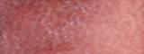 Aquarelle Daniel Smith S3 189 Prima Tek Fuchsite rouge véritable 