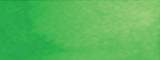 Aquarelle Daniel Smith S3 208 Vert printemps 