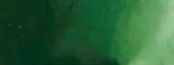 Aquarelle japonaise Gansai Tambi 058 Vert de vessie profond