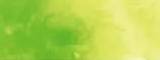 Aquarelle japonaise Gansai Tambi 059 Vert limette
