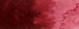 Aquarelle japonaise Gansai Tambi 072 Marron