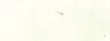 Aquarelle japonaise Gansai Tambi 101 Blanc Gofun