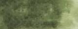 Aquarelle japonaise Gansai Tambi 504 Gris vert