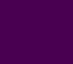 Base Citadel Phoenician Purple