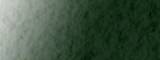 Encre acrylique Abstract - Sennelier 809 Vert Hooker
