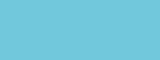 Encre PANTONE™ flacon de 30ml PANTONE™ 304