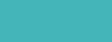 Encre PANTONE™ flacon de 30ml PANTONE™ 325
